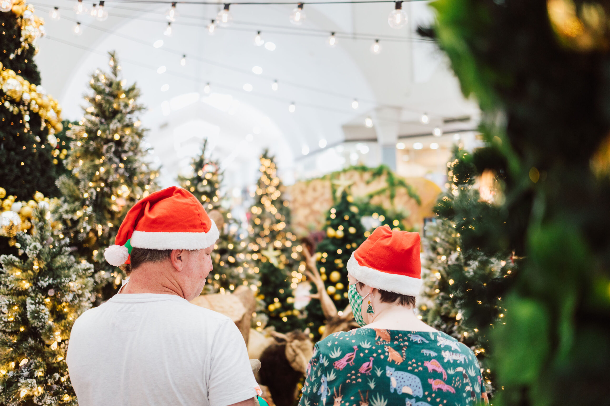 Book Your Santa Photos Morayfield Shopping Centre Your Place For Shopping And More Book Your Santa Photos Morayfield Shopping Centre Your Place For Shopping And More